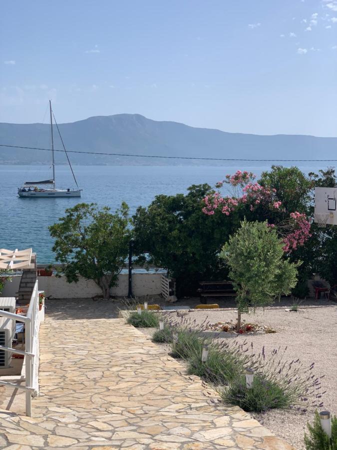 Amica Trogir