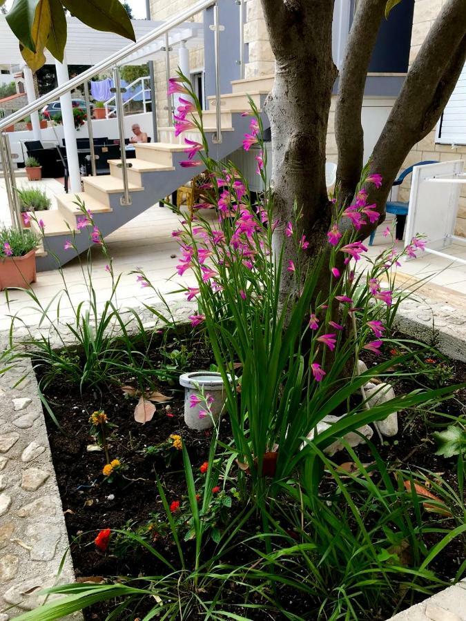 Apartment Amica Trogir